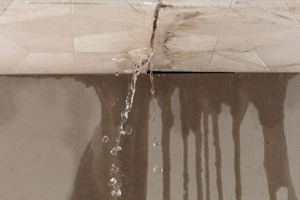Professional Burst Pipe Cleanup technician working in Forestdale, MA
